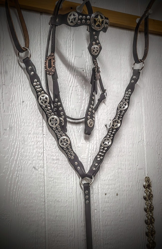 Custom Parade/showTack Set - Headstall & Breast collar