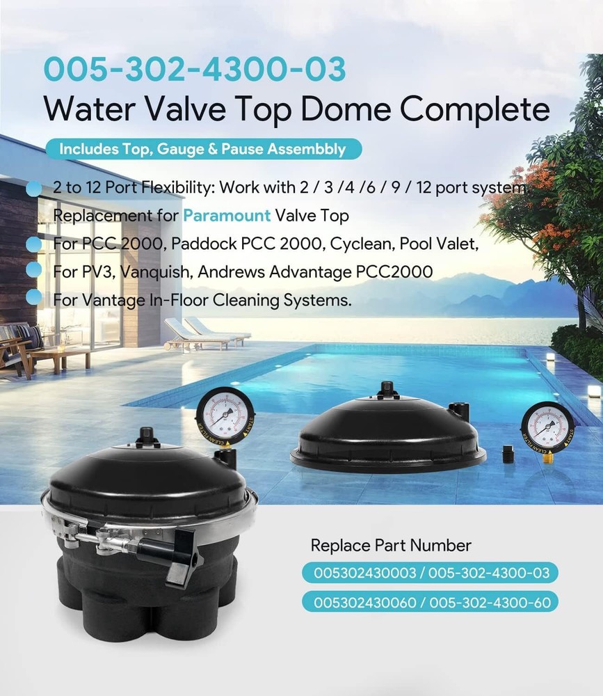 005-302-4300-03 Replace for Paramount Water Valve Top Dome Complete Assembly Kit