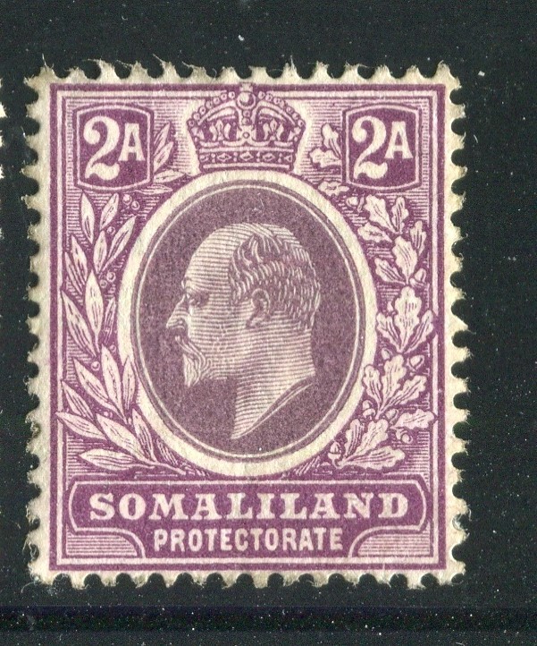 SOMALILAND PROTECTORATE; 1904 classic Ed VII issue Mint hinged 2a. value