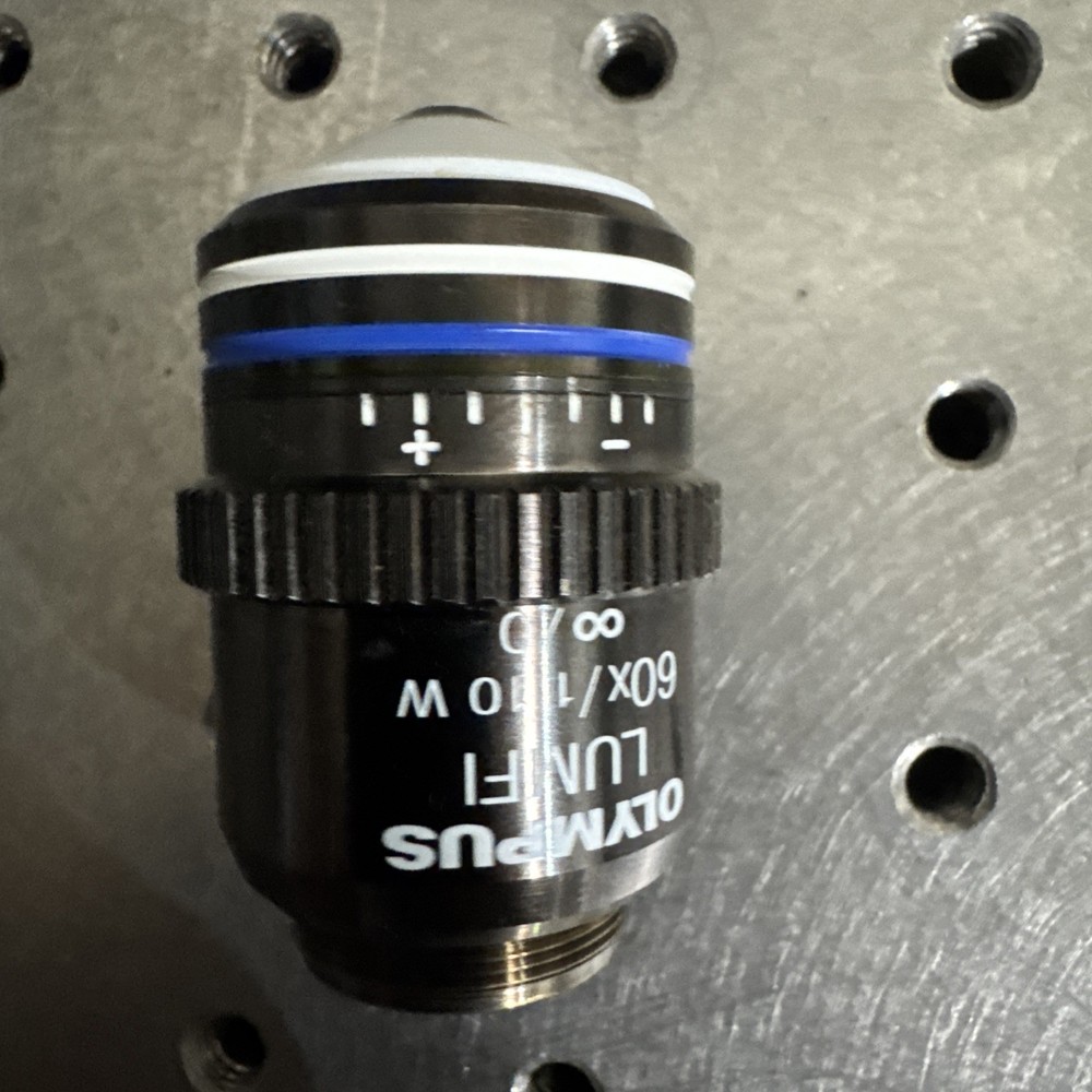 Olympus LUMFL  60x Water Dipping Microscope Objective