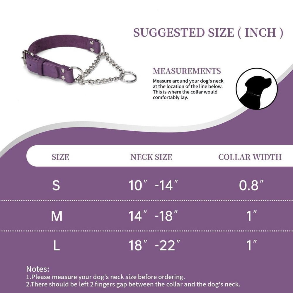Martingale Collar for Dogs No-Pull Adjustable Training Collar with Stainless ...