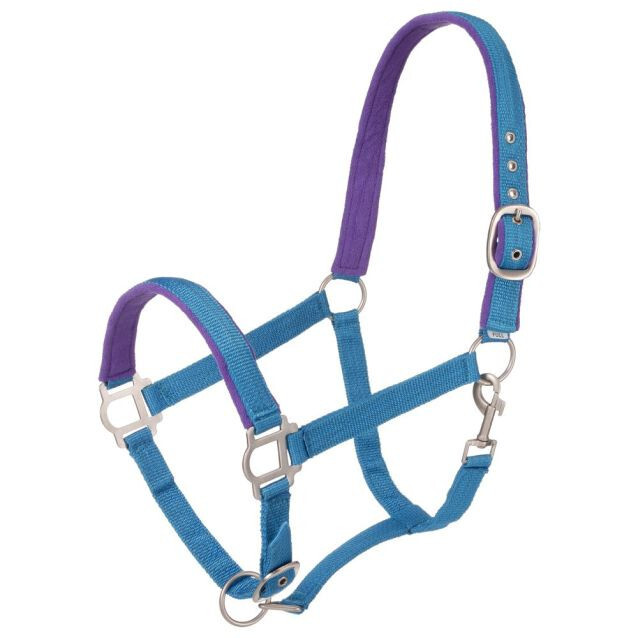 Padded Pony Halter with Satin Hardware