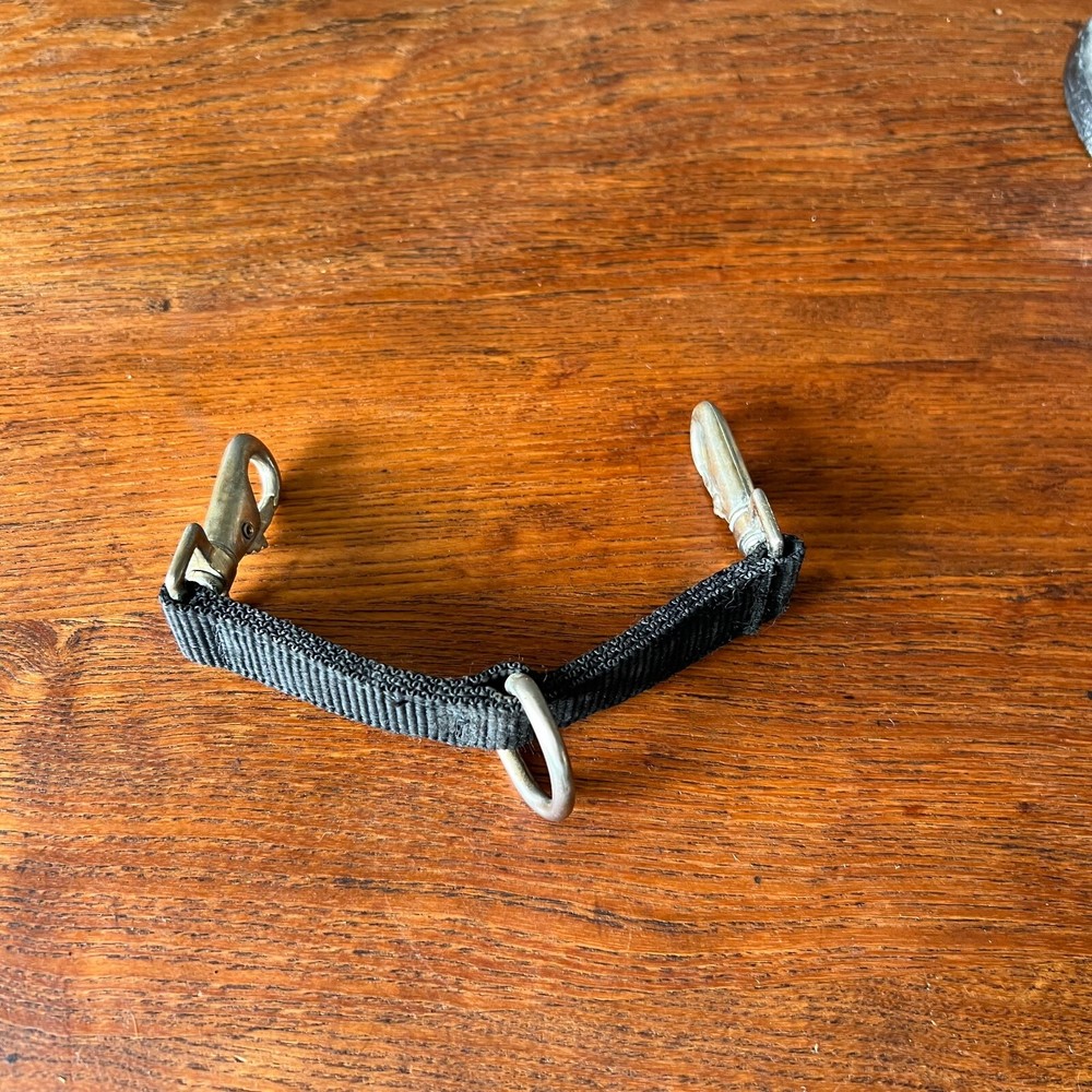 Nylon Lunging Strap Black with Fixed Ring