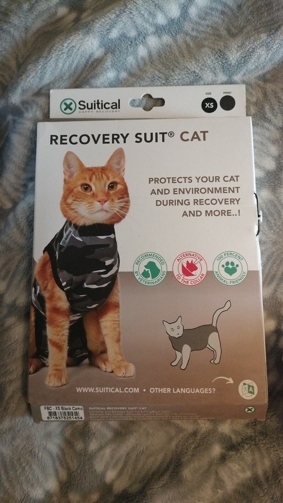 Recovery Suit Cat