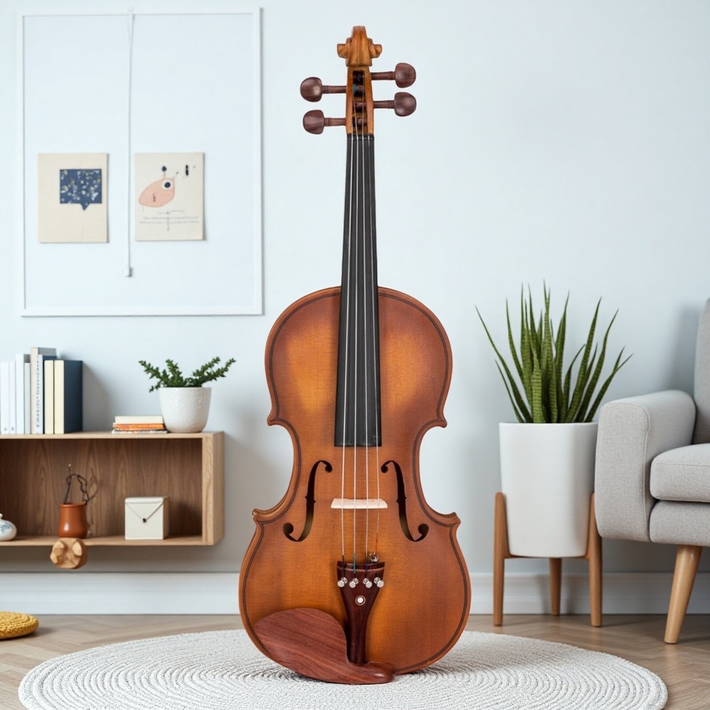 4/4 Solid Spruce Top Acoustic Beginner Violin Set - Shoulder Rest, Tuner, Matte