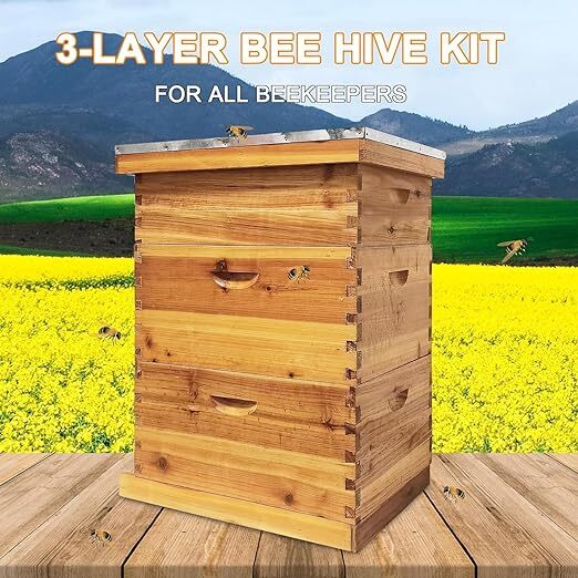 3-Layer Bee Hive Without Frames, Langstroth Beehive Kit 2 Deep 1 Medium