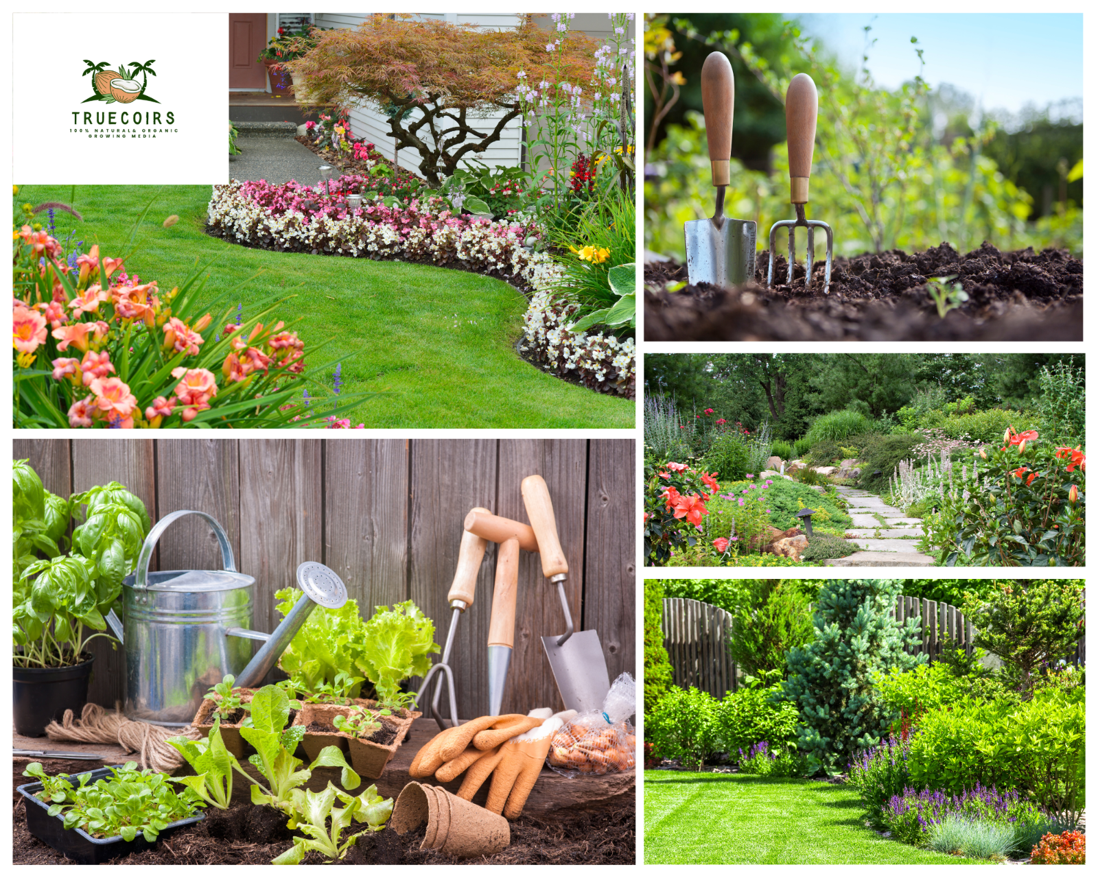 10LB/1.4LB CocoCoir Brick Coconut Fiber Potting Soil Plant Organic Growing Media