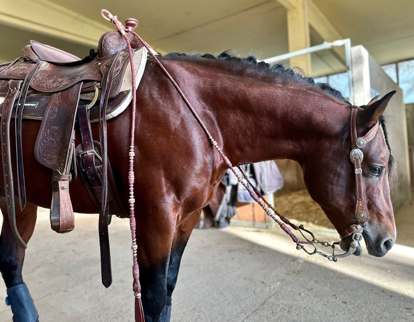 20 Plaits Romal Reins, Rommel Reins Chestnut Cherry Rawhide, 48" Romal Reins