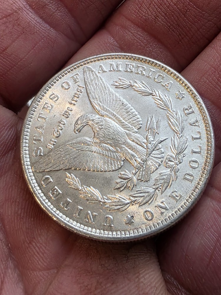 1887 & 1889 $1 Morgan Silver Dollar Blast White