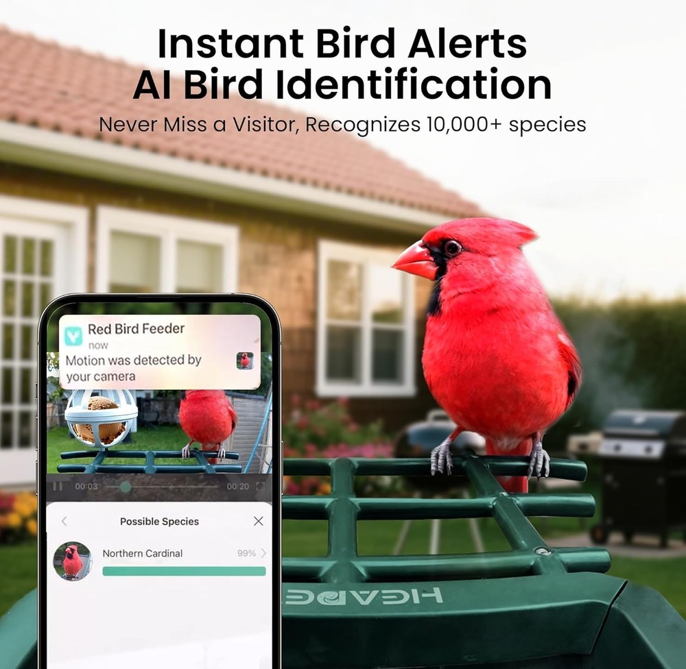 360° Adjustable Smart Bird Feeder with Camera & Instant Notifications - Red