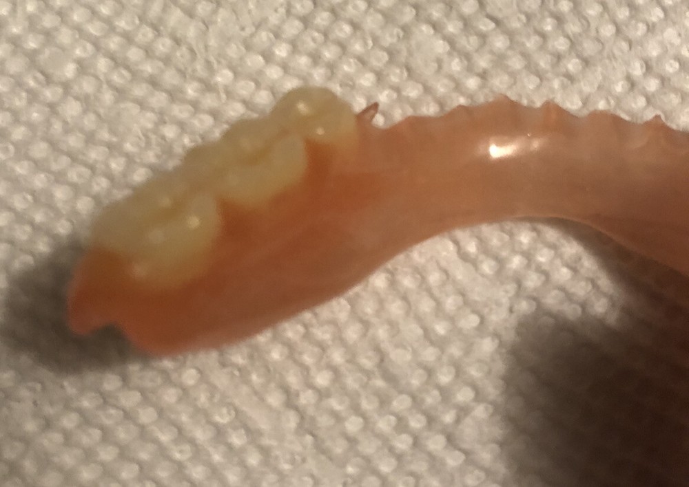 BURBANK Replacement DentalLab Partials Lower Side 6 teeth CustomMadeMissingTooth