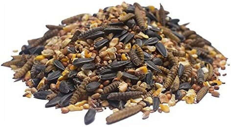 5 Grain Scratch Chicken Feed, 12 lbs.