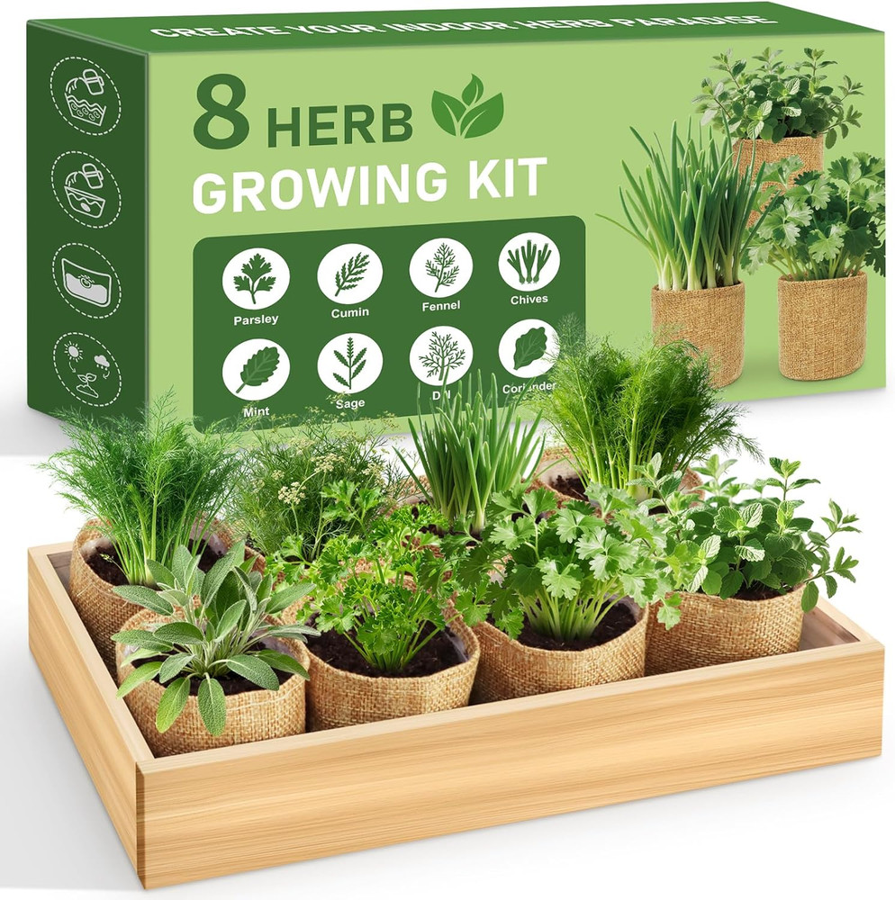 Indoor Herb Garden Kit for Beginners - Complete Windowsill Growing Set