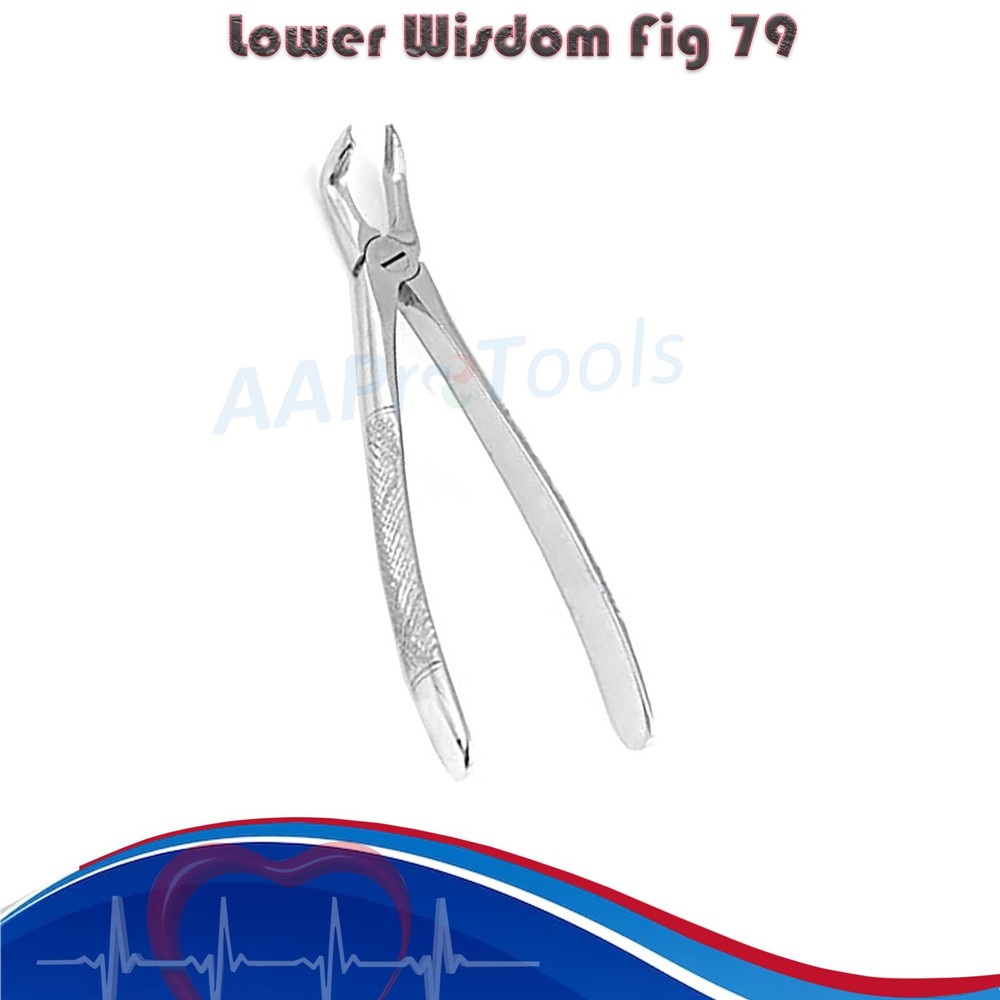 X2 PC Dental Instruments Extraction Forceps For Lower Wisdom Fig 79
