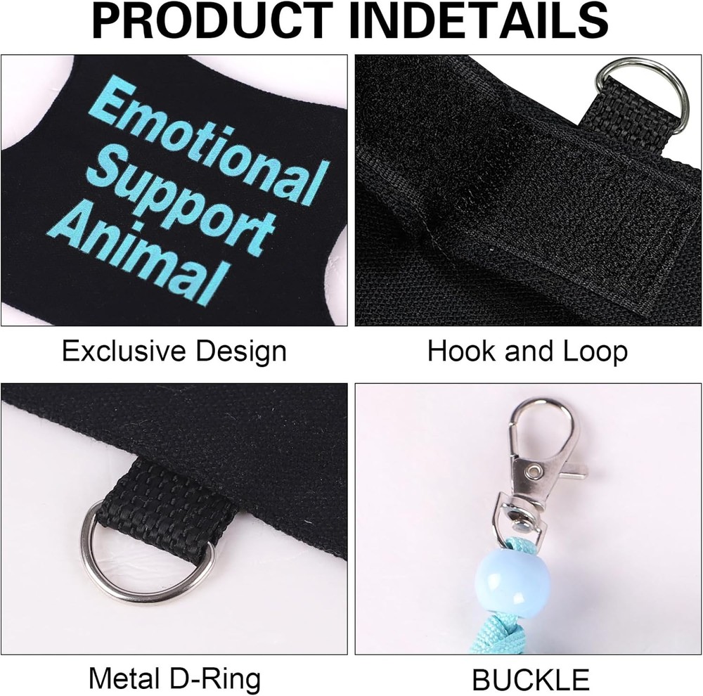 Bearded Dragon Harness and Leash Set Adjustable Reptile Lizard Medium, Blue