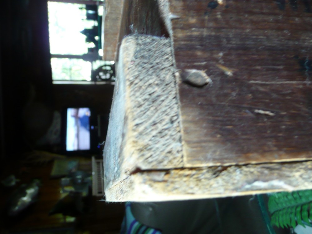 Vintage Winchester Ammunition Box, crate.