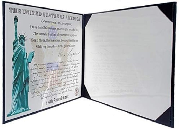 Padded Naturalization Certificate Holder with Gold Eagle Logo - Compact Design