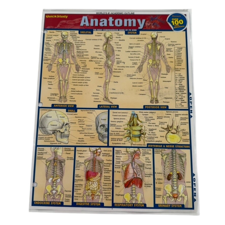 Anatomy QuickStudy Laminated Reference Guide