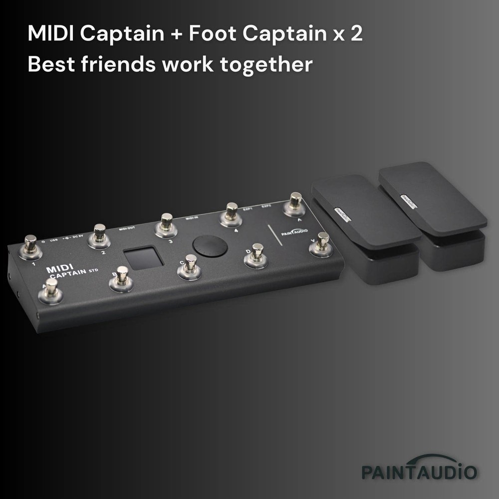 Paint Audio Foot Captain Dual Outputs Expression Pedal Multi-effects for Tip/...