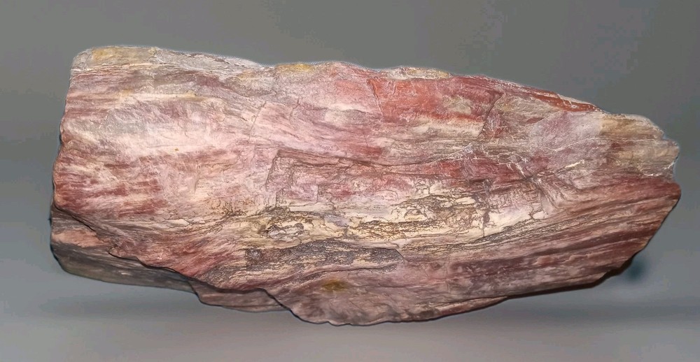 Pink Petrified Wood Rough 2 lbs+ AZ