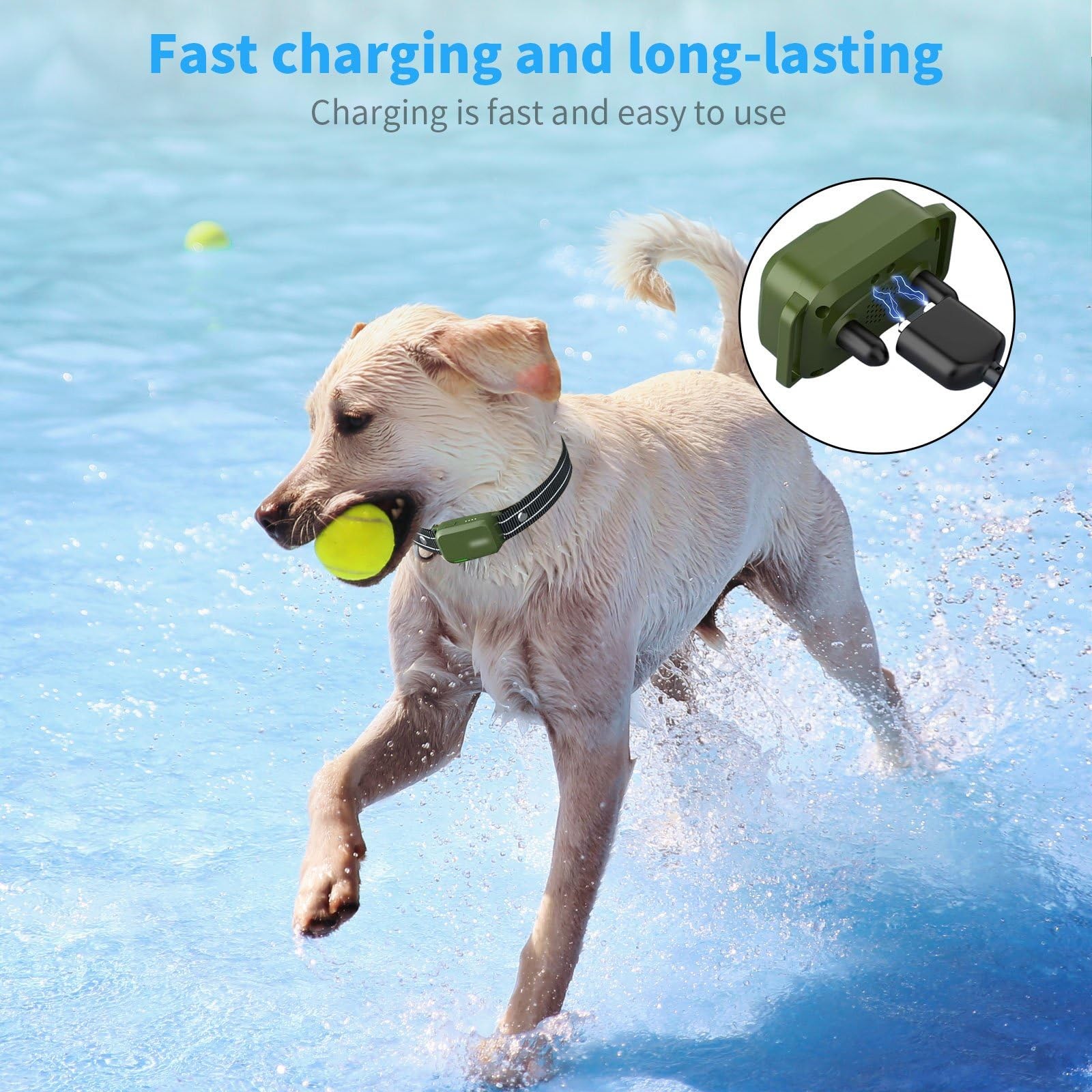 MEROM for Jugbow Dog Shock Collar Charger Replacement, 80 centimeters, Black