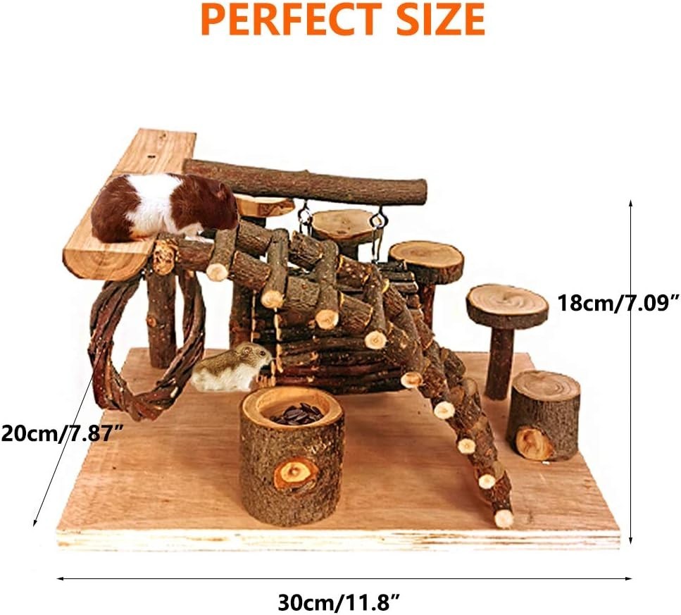 Hamster Playground Platform - Climbing & Jumping Set