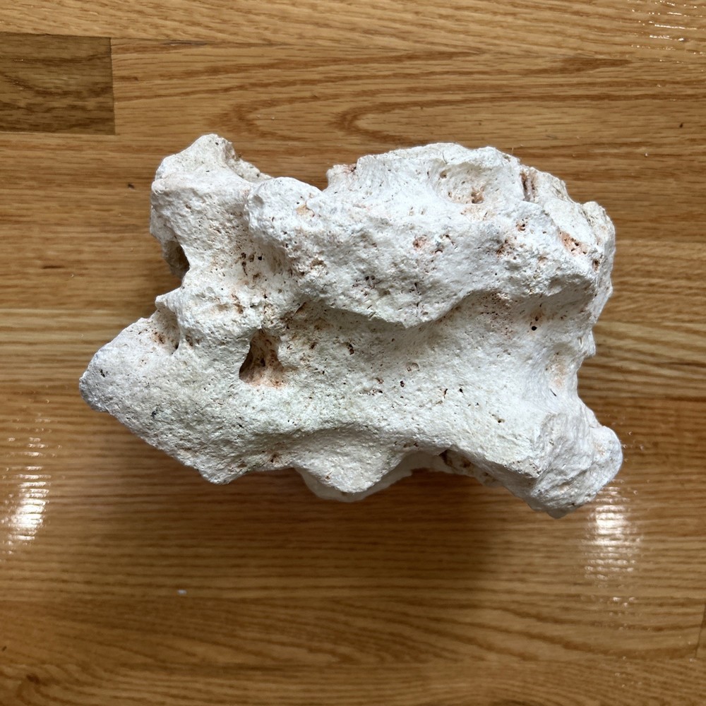 Landscaping rock for terrariums