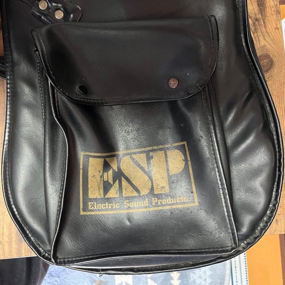 ESP Guitar Gig Bag Strap Safe Packing!
