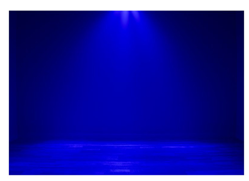 Mega Wash 24 Hex Wash Light (MEG024) - Eliminator Lighting