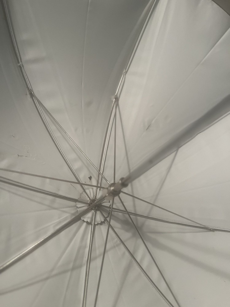 Profoto Umbrella Shallow White S With Carrying Case.