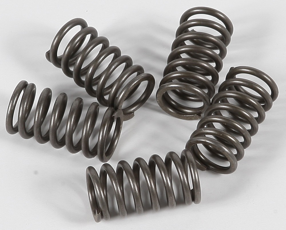 EBC Clutch Spring Set - Clutch Springs - CSK118