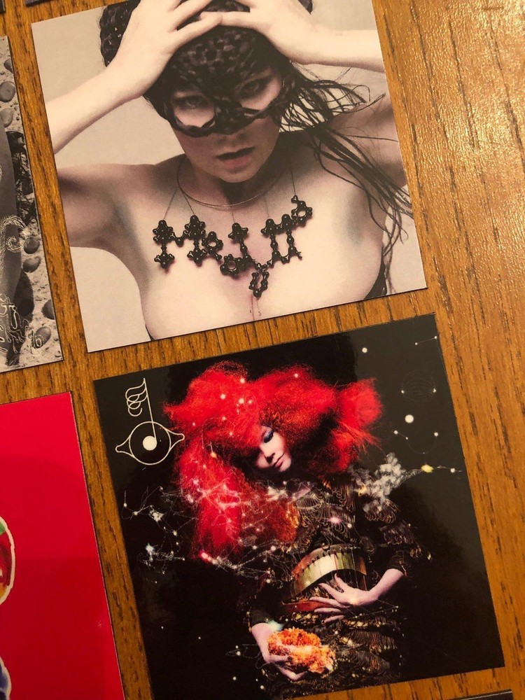 Bjork fridge magnets