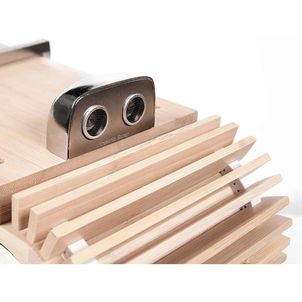 iFi AUDIO Aurora All-in-One Wireless Music System