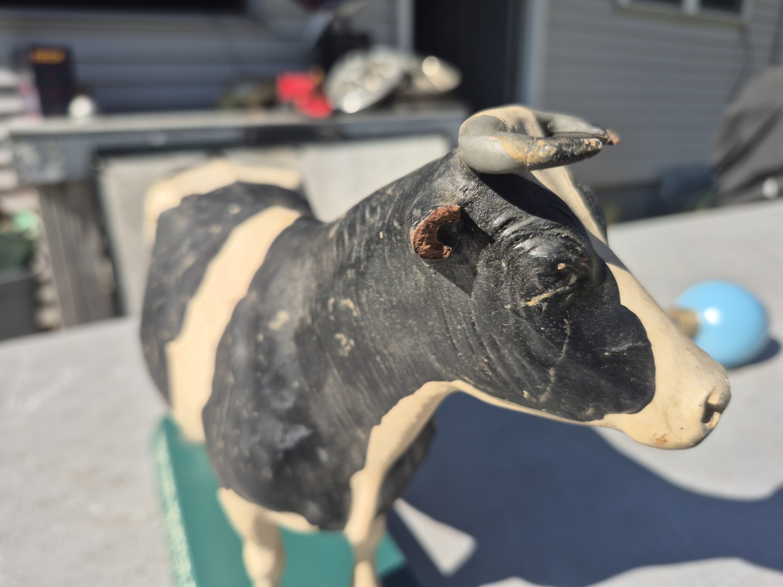 Vtg 1950s True Type Holstein Friesian Large Cow Brattleboro VT Store Display