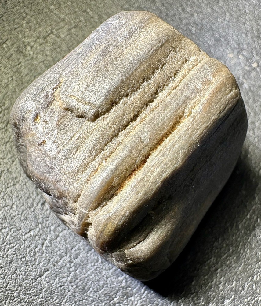 1 oz Petrified Wood