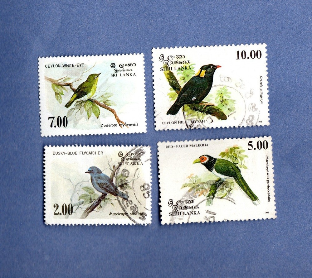 SRI LANKA BIRDS USED 4 VALUES