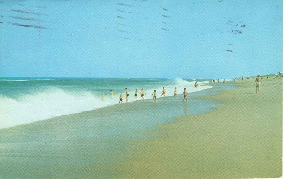 ALONG NORTH CAROLINA'S OUTER BANK - PC2091