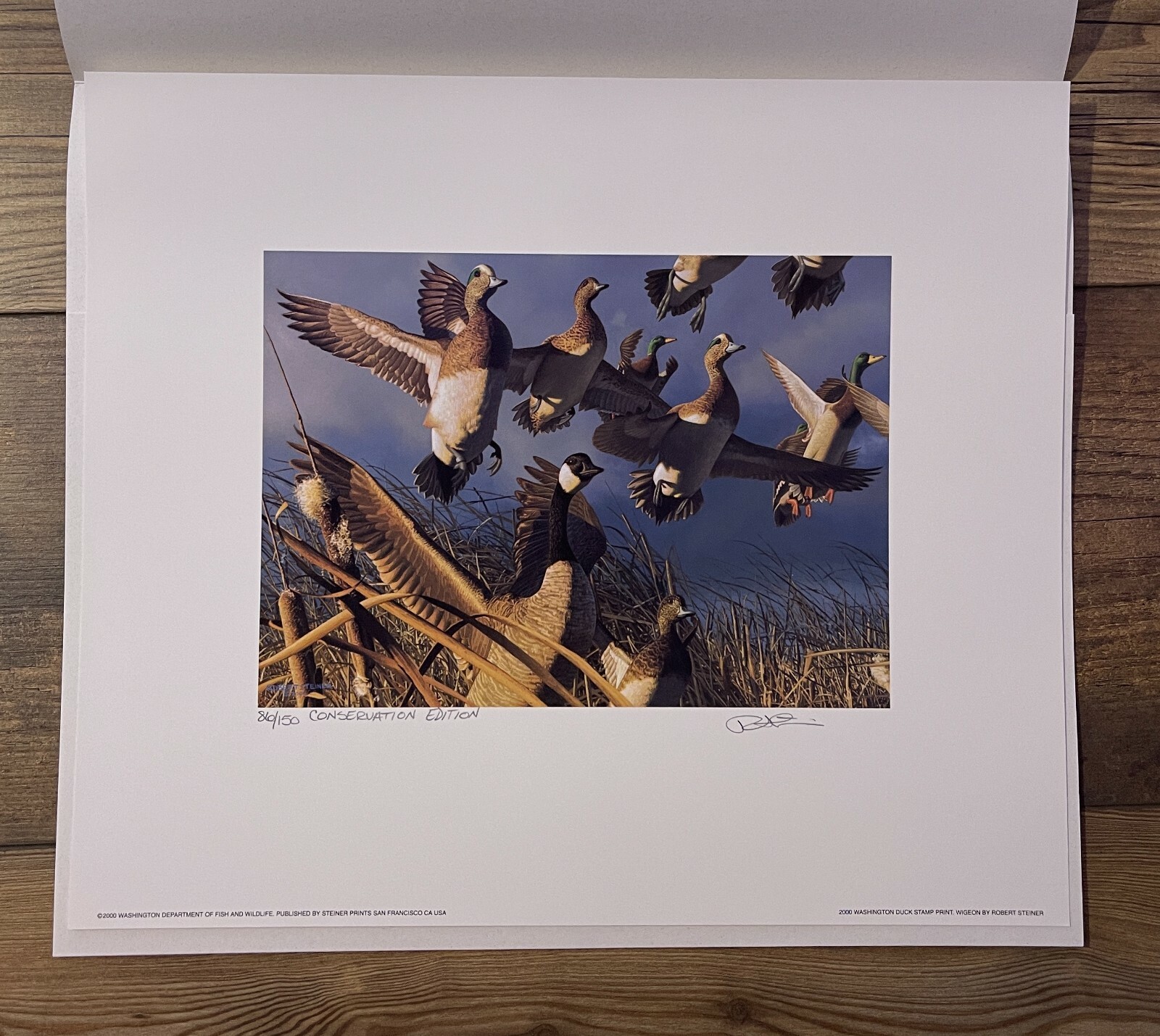 2000 Washington State Duck Stamp Print *ROBERT STEINER* Conservation Ed #62/150
