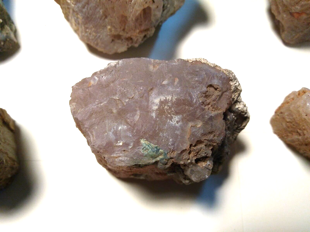 Petrified Wood Limb Casts- Over 7-1/2 lbs.