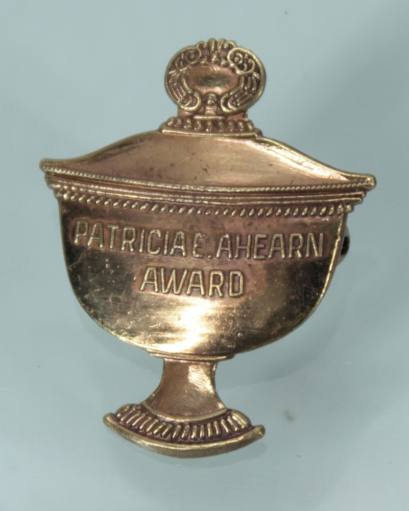 Patricia E Ahearn Award Pin Badge Patient Choice Compassion Rare Vintage UK