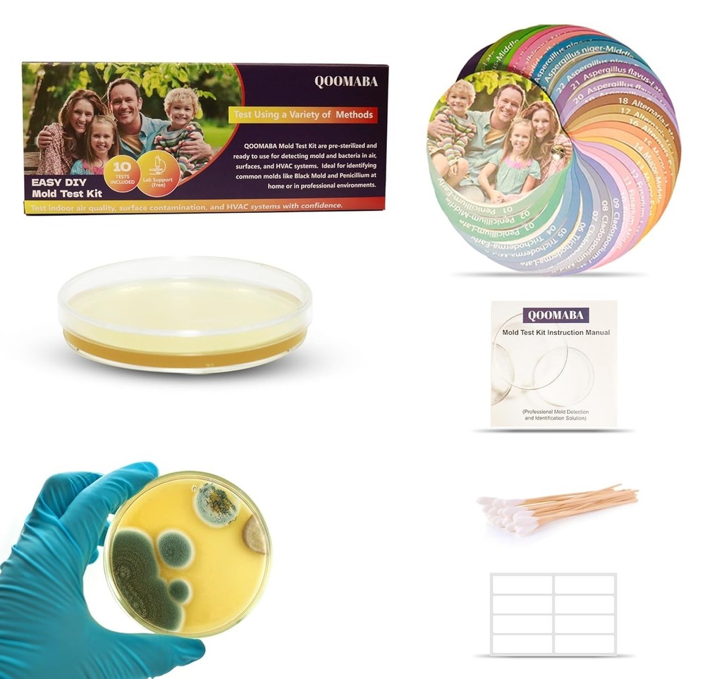 Home Mold Kit - 10PCS Including Comparison Cards for Easy Mold Detection