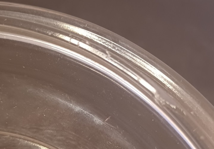 Pyrex Clear Glass Replacement Lid P-81-C