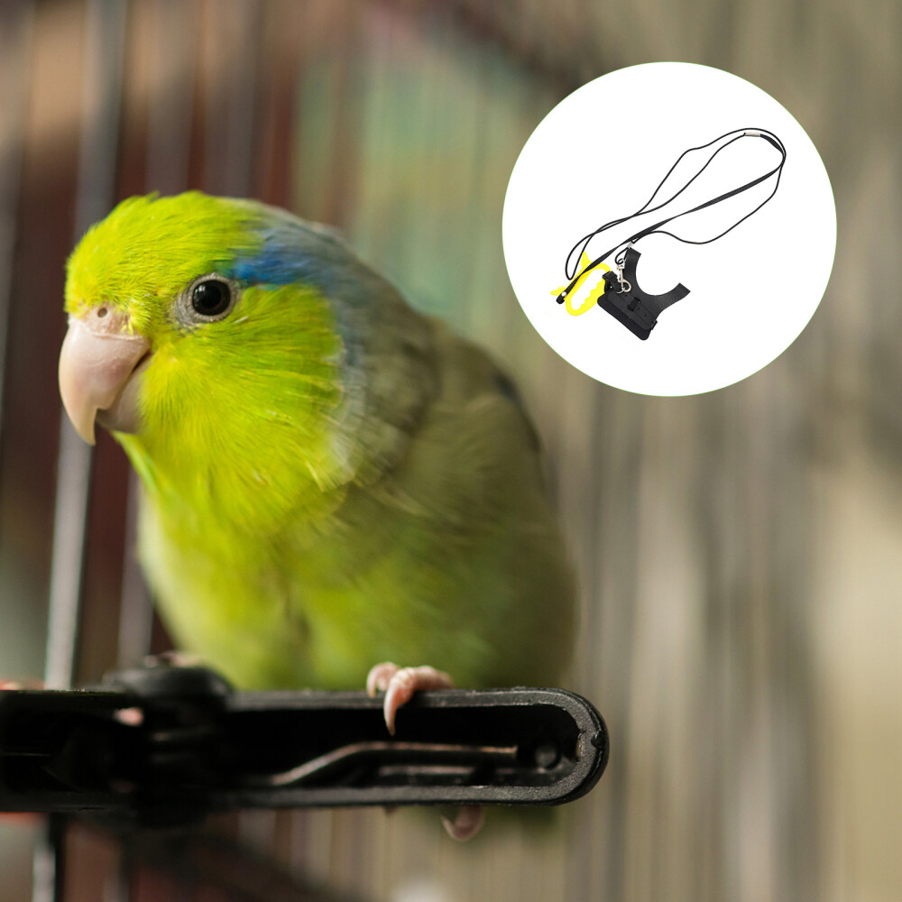 Bird Harness Leash Kit Macaw Harness Flying Training Rope Bird Parrots