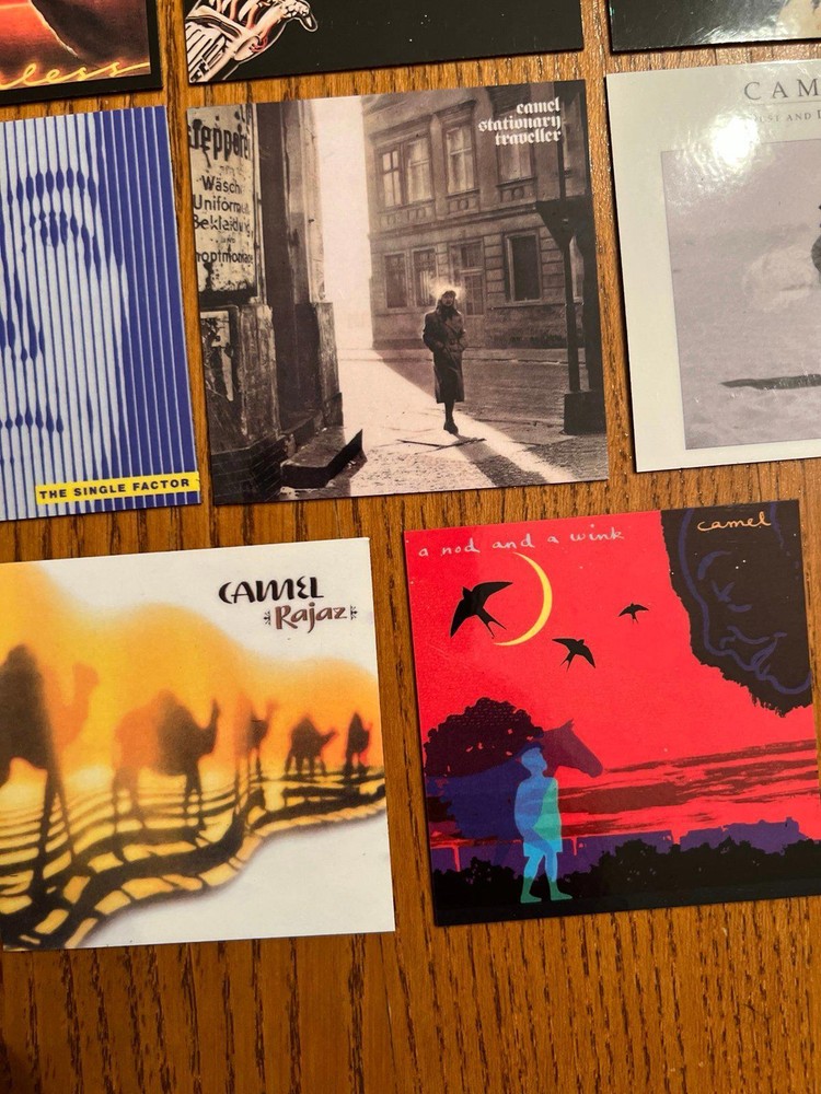 Camel fridge magnets