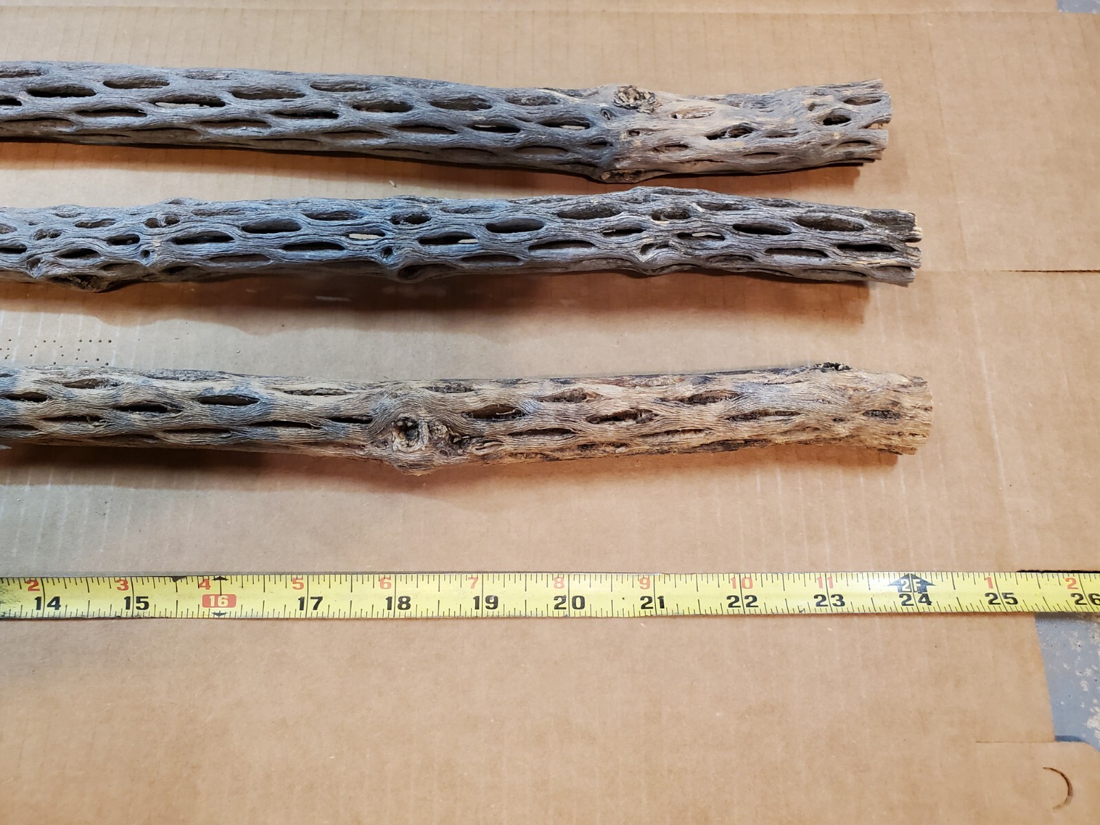 NEW! 3 CHOLLA Wood Pieces 24" inch EXTRA LONG Straight | Organic Aquarium Craft