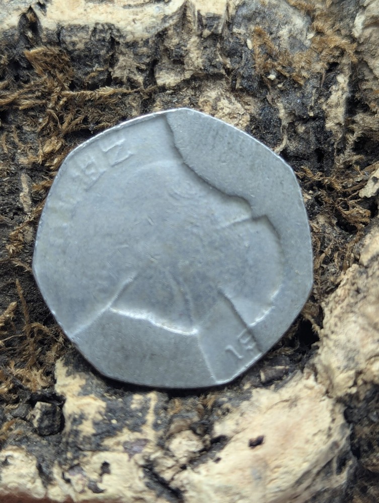 MEXICO 10 PESOS 1970s COPPER-NICKEL MASSIVE CUD ERROR!!! PARTIAL DATE