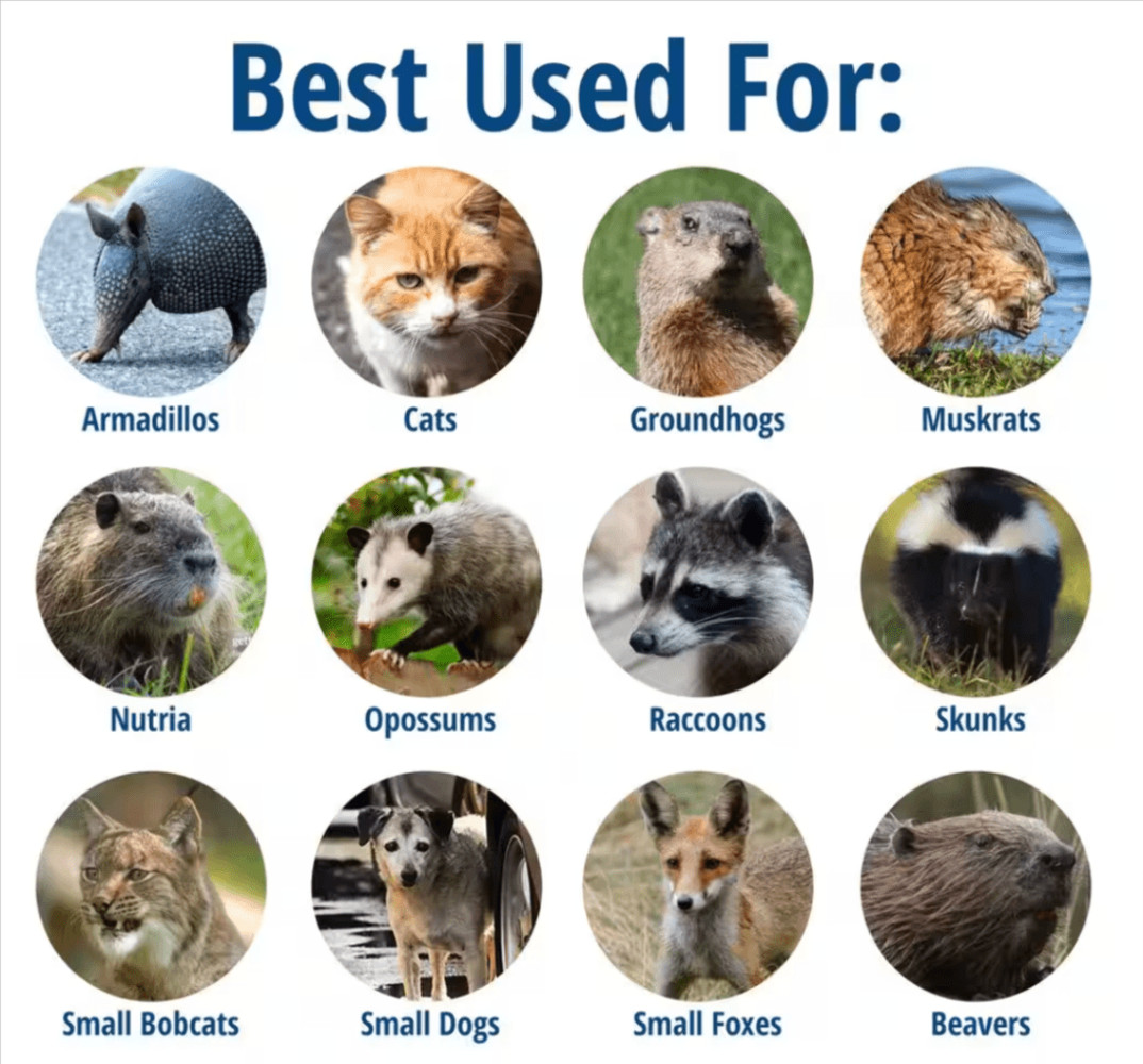 Victor Havahart Large 1-Door Professional Live Animal Cage Trap 1079 Raccoon Opo