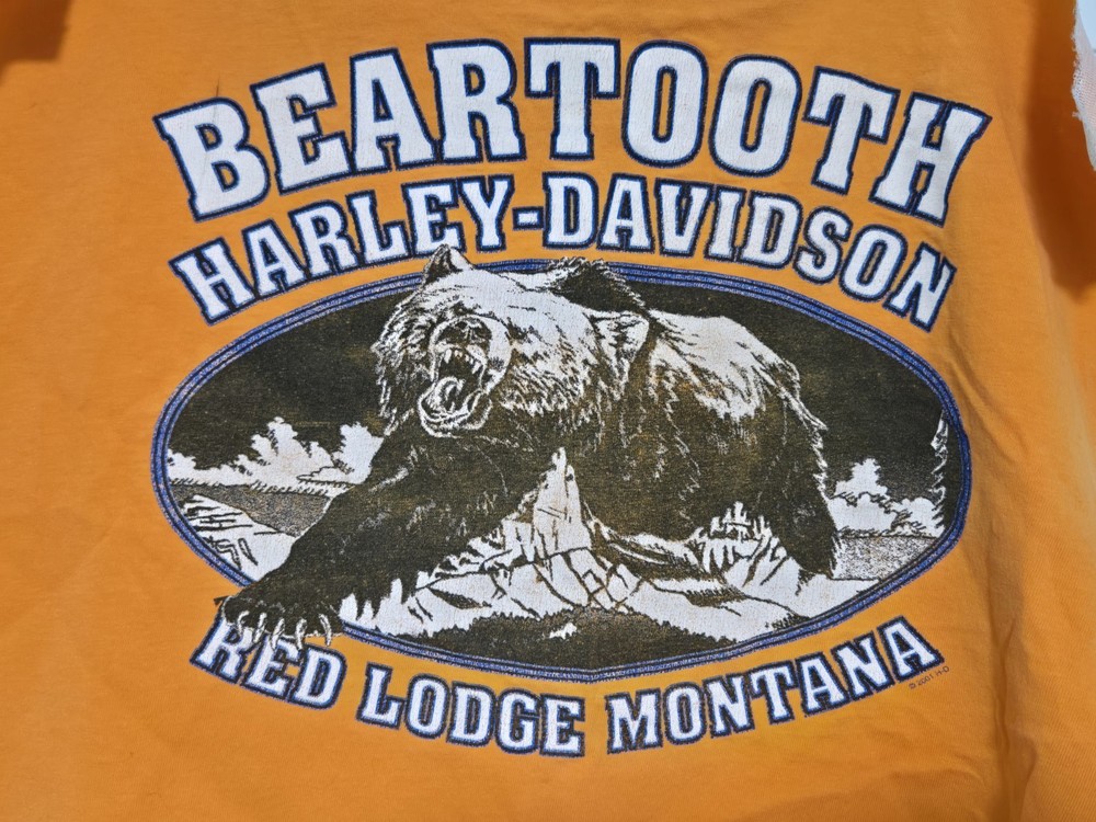 Harley Davidson Jacket Back Patch Sew On Upcycle Motorcycle 2