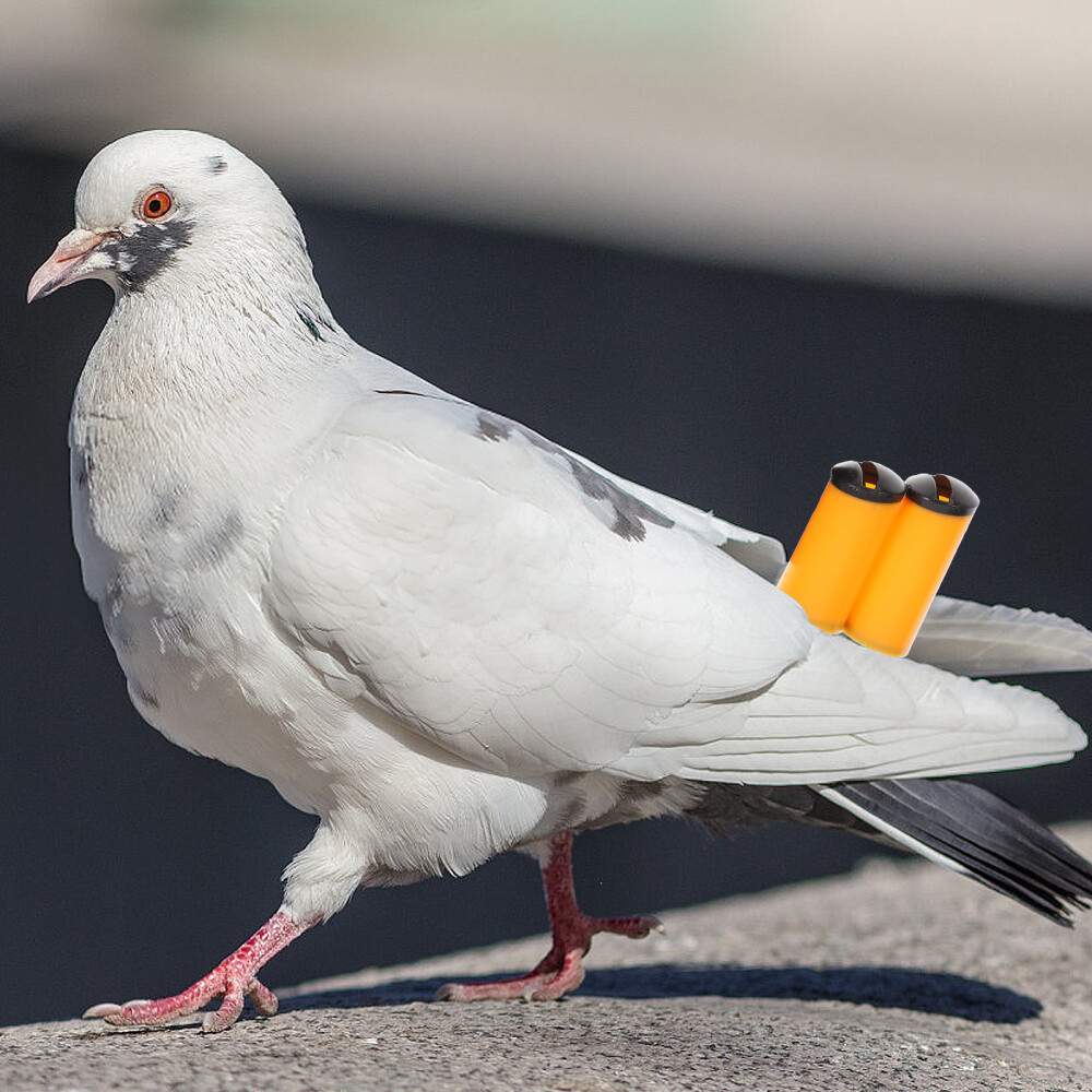 2 Pcs Pigeon Training Accessory Referee Whistle Pet Bird Flute