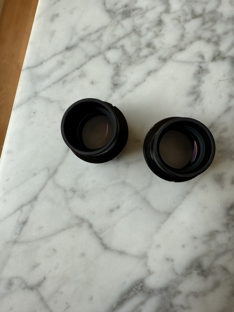 Pair Nikon Eclipse 80i 90i Microscope Eyepiece Occulars CFI 10x/22